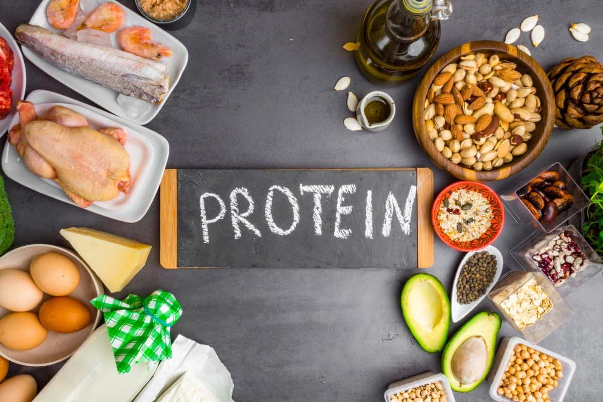 High protein foods