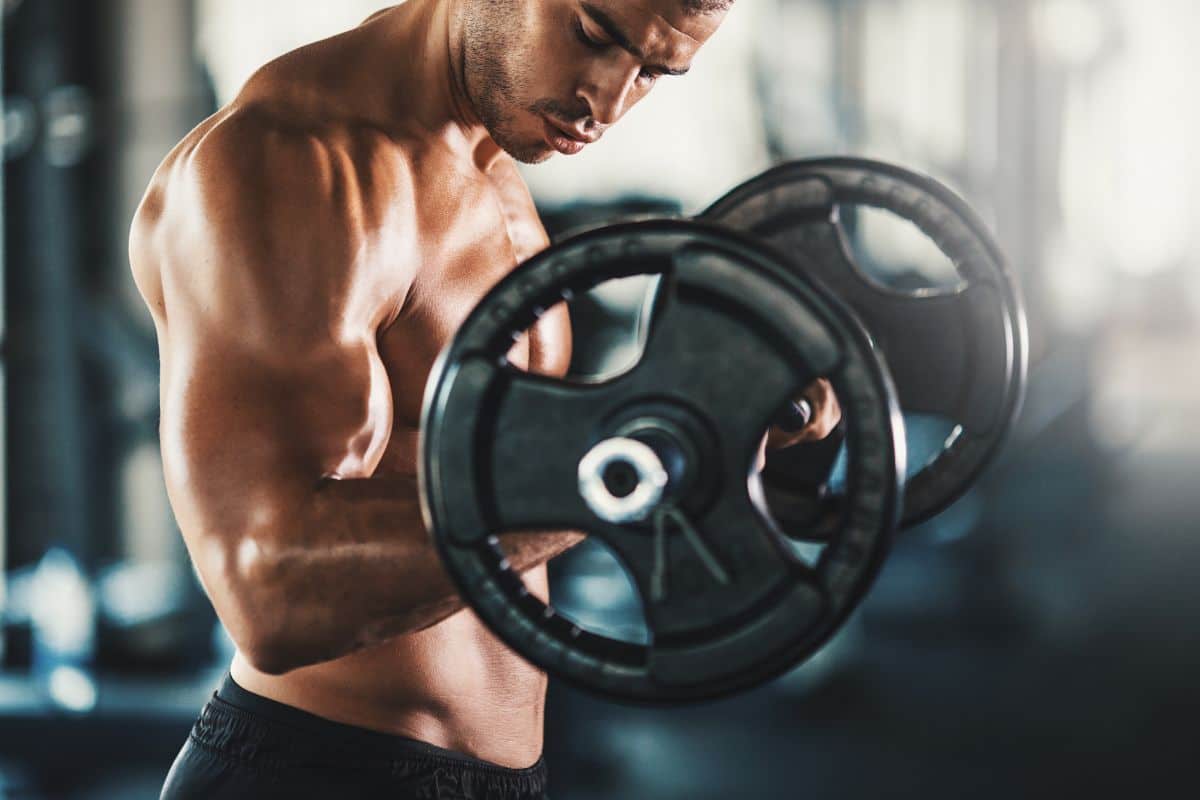 arm curls with barbell