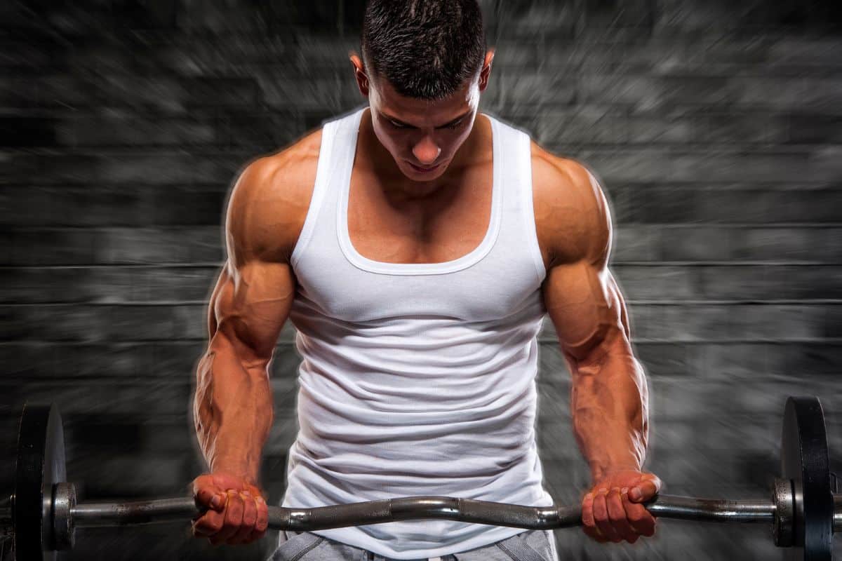 Exercise Progression for Muscle Growth